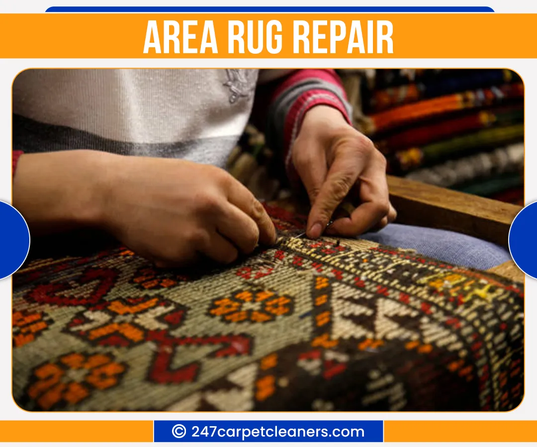 carpet cleaners in Nassau, carpet cleaning in Nassau, carpet cleaning nassau, carpet cleaners in nassau,  commercial carpet cleaning, commercial carpet cleaning in nassau,carpet cleaning in nassau,  nassau rug cleaners, rug cleaning services in nassau, same day carpet cleaning, same day rug cleaning