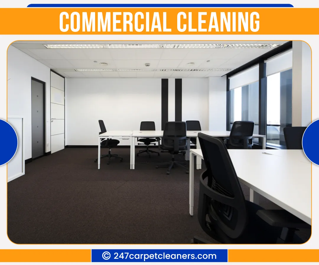 carpet cleaners in Nassau, carpet cleaning in Nassau, carpet cleaning nassau, carpet cleaners in nassau,  commercial carpet cleaning, commercial carpet cleaning in nassau,carpet cleaning in nassau,  nassau rug cleaners, rug cleaning services in nassau, same day carpet cleaning, same day rug cleaning